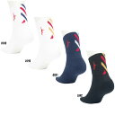 ☆ネコポス対応可☆IN THE PAINT SOCKS (ソックス) 　ITP23329SP【IN THE PAINT】インザペイント バスケットボール ソックス