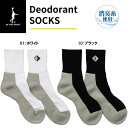 NlR䂤pPbgΉIN THE PAINT DEODORANT SOCKS (\bNX) ITP24341yIN THE PAINTzCUyCg oXPbg{[ \bNX