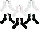 NlR䂤pPbgΉIN THE PAINT BACK PANEL SOCKS (\bNX) @ITP24342yIN THE PAINTzCUyCg oXPbg{[ \bNX