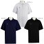 ͥݥбġ COLOR POLO SHIRTS ITP18335IN THE PAINTۥ󥶥ڥ Хåȥ