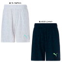 ☆ネコポス対応☆PUMA　INDIVIDUAL トレーニング ハイブリッド ショーツ 658461【PUMA】プーマサッカーウェア