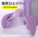 美尻シェイパー フィットネス 脚痩せ 骨盤 二の腕 ヒップアップ ウエスト トレーニング 内転筋 骨盤底筋 ダイエット シェイプアップ 部分痩せ 筋トレ 内もも お尻 背中 くび 二の腕 ふともも 自宅 室内(4)
