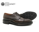 JOSEPH CHEANEY ジョセフ チーニー アストウェル ASTWELL MOCHA ビジネス 5784/11 ブラウン メンズ パンチドキャップトゥ シューズ モカ〔FL〕【あす楽】【楽ギフ_包装】