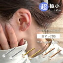 【期間限定★20%OFFクーポン配布中】ピアス つけっぱなし 金属アレルギー つけっぱなしピアス サージカルステンレス 2mm 極小 キュービックジルコニア ス...