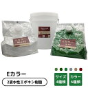 Eカラー 水性速乾エポキシ樹脂 塗膜保護 塗膜コーティング 床コーティング 防塵塗装 低臭 美装 重量 耐荷重 フォークリフト 重機 塗床 塗り床 床塗 床塗装 塗床補修 食品工場 製造工場 薬品工場 整備工場 倉庫 店舗 駐車場 DIY 送料無料