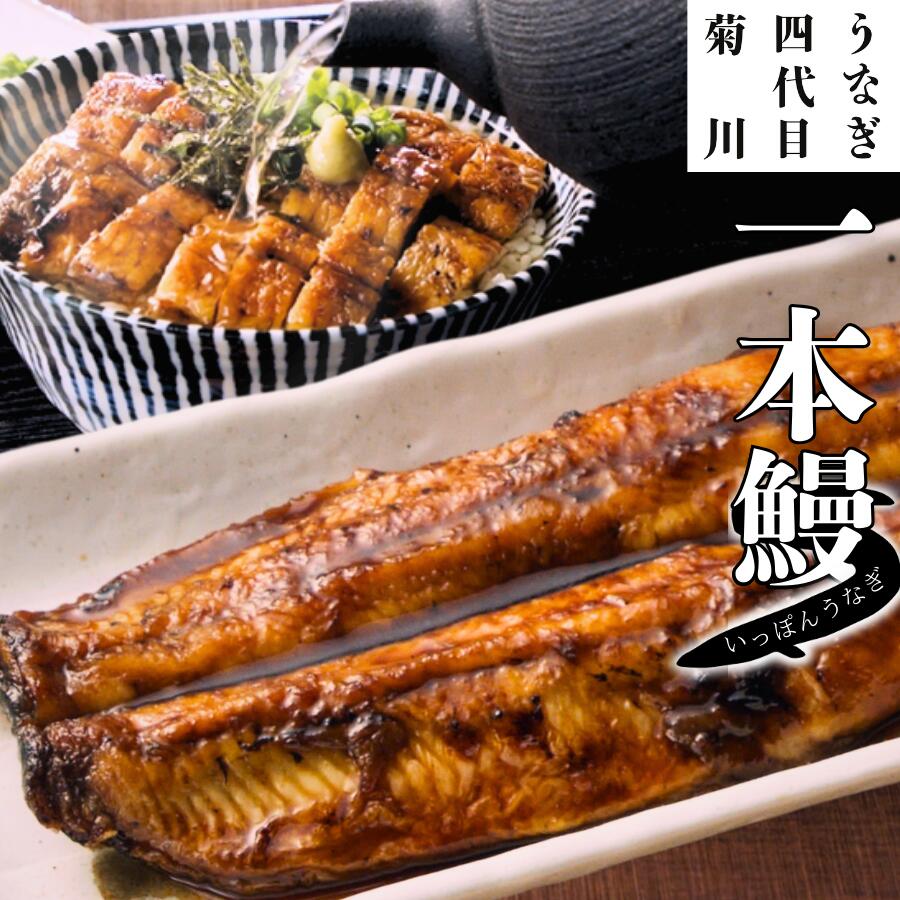 うなぎ四代目菊川 一本うなぎ 国産 2尾 4尾 肉厚 大ぶり 地焼き 秘伝のタレ付き 冷凍 高級 鰻 贈答品 ギフト 土用の丑の日 通販 お取り寄せ 人気 名産 誕生日 プレゼント メーカー直送品