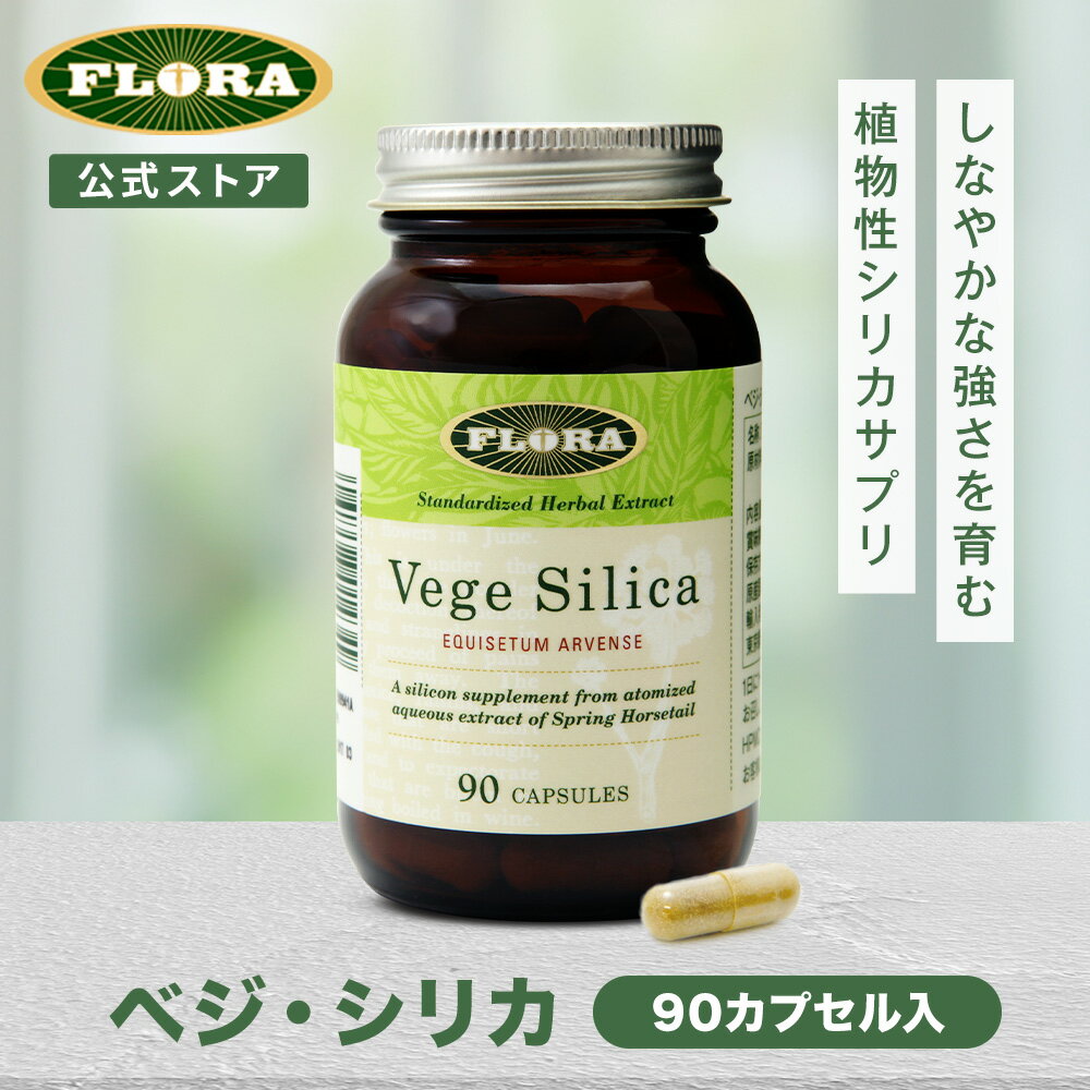 【在庫限り大特価！】水溶性ケイ素 DMK＋ ディーエムケープラス ドクターミネラルK＋ 120ml サプリメント シリカ ケイ素 日本製 国内正規品 送料無料 Dr.ミネラルK＋