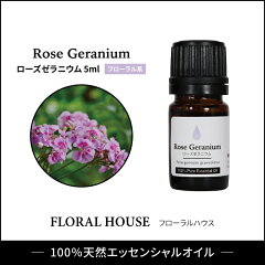 https://thumbnail.image.rakuten.co.jp/@0_mall/floralhouse/cabinet/item/009/gera5s.jpg