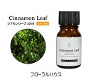 アロマオイル シナモンリーフ 精油　エッセンシャルオイル　10ml