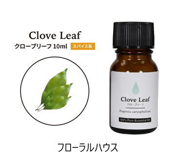 アロマオイル クローブリーフ 精油　エッセンシャルオイル　10ml