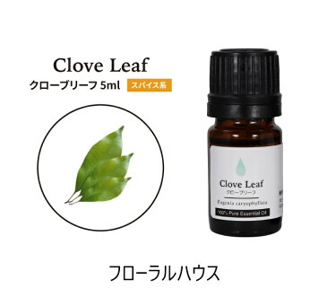 アロマオイル クローブリーフ 精油　エッセンシャルオイル　5ml