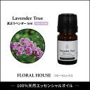 アロマオイル　真正ラベンダー　精油　エッセンシャルオイル　5ml