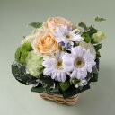 【マラソン中ポイント5倍】花 ギフト 誕生日 フラアート花門 カジュアルアレンジ Mサイズ(4色から選べます!) あす楽 送料無料 フラワーアレンジメント アレ...