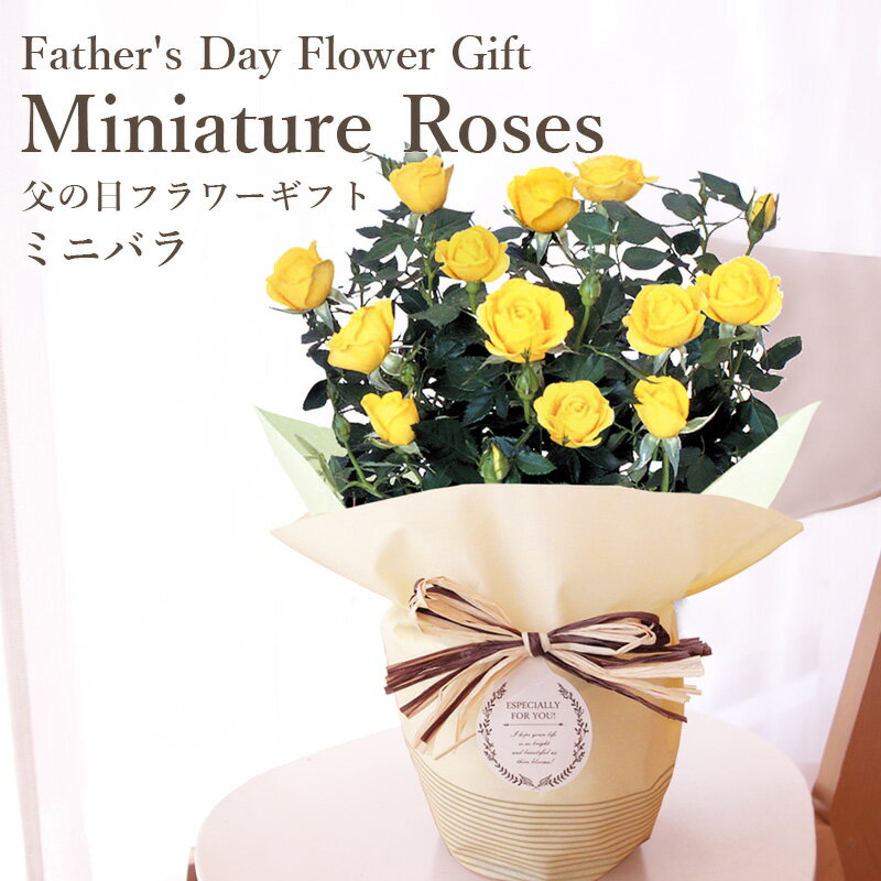 【60代男性】黄色いバラを父の日に！感謝の気持ちが伝わるおすすめは？