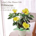 父の日ギフト 送料無料 ☆楽天1位☆【フラアート花門】「ハイ...