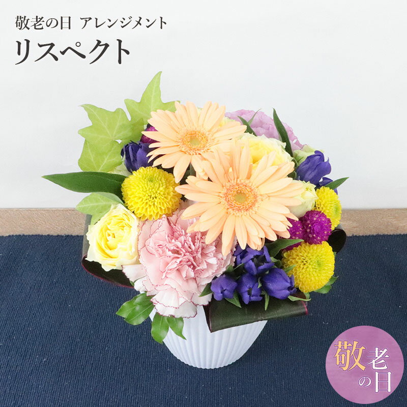 敬老の日ギフト 送料無料 楽天1位 銀座花門 生花 アレンジ 「リスペクト」 プレゼント 2023 花 フラワー ギフト カーネーション ガーベラ バラ アレンジメント 敬老の日 フラワーアレンジメント アレンジメントフラワー 銀座のサムネイル