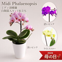 https://thumbnail.image.rakuten.co.jp/@0_mall/floreal/cabinet/510_13_m_motherday.jpg