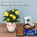 ミニバラ 花の鉢植え 父の日ギフト 送料無料 楽天1位 フラアート花門 スイーツ セット 黄 ミニバラ 鉢植え 文明堂 カステラ プレゼント 花 バラ フラワー ギフト 花鉢 鉢 お菓子 父の日 フラワーギフト