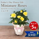 【ポイント5倍】 父の日ギフト 送料無料 楽天1位 フラアート花門 黄 ミニバラ 鉢植え プレゼント 2025 花 フラワー ギフト ミニ バラ アレンジ 花鉢...