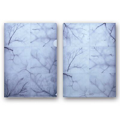 丹羽英之 Hideyuki Niwa フローラルアートクリアファイル「永遠なる時間」3枚セット フラワーアーティスト デザイン 花 お花 装飾 装花 ジャパンカップ優勝 国際大会優勝