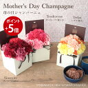 フロレアル フラワーボックス 【ポイント5倍】 母の日 送料無料 楽天1位 フロレアル Mother'sDay シャンパーニュ 母の日ギフト フラワーボックス 赤 ピンク オレンジイエロー から選択 プレゼント 花 フラワー ギフト カーネーション アレンジメント