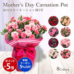 https://thumbnail.image.rakuten.co.jp/@0_mall/floreal/cabinet/imgrc0106295871.jpg