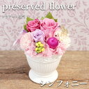 花 ギフト 誕生日 フラアート花門 プリザーブドフラワー ~フラプリ~『シンフォニー』 送料無料 バラ お花 フラワー プレゼント フラワーギフト ブリザード お祝い 発表会 退職祝い 結婚祝い 電報 メッセージカード 男性 女性 おしゃれ 10%OFF