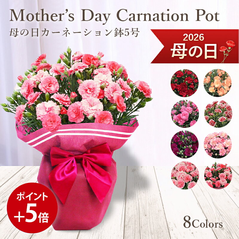 送料無料楽天1位8色から選べるカー...