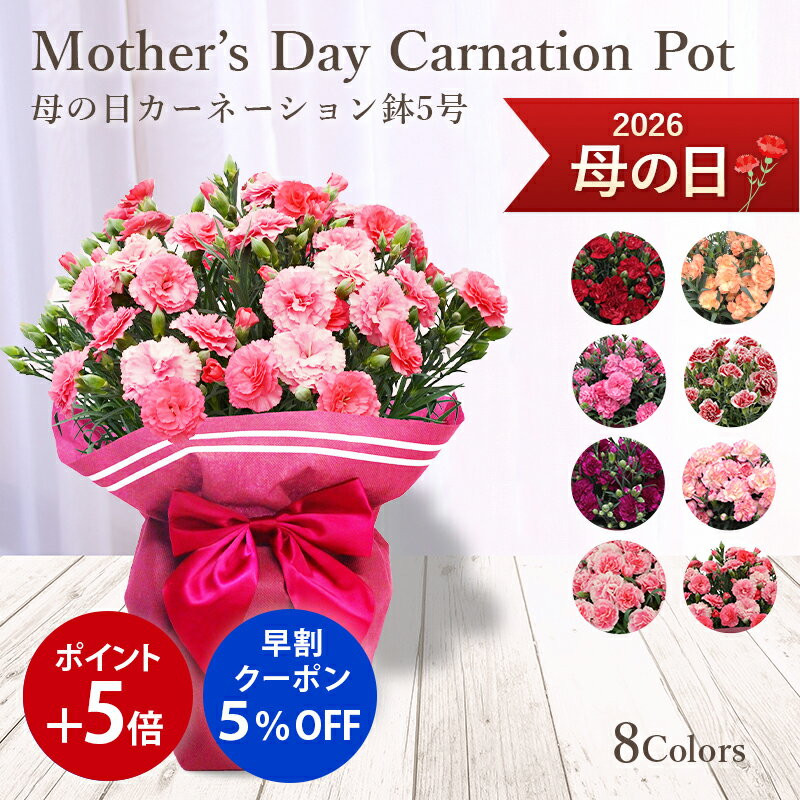 【ポイント5倍+早割5%OFFクーポン】�