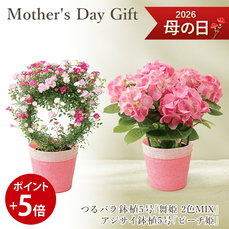 【ポイント5倍】 母の日ギフト 送料