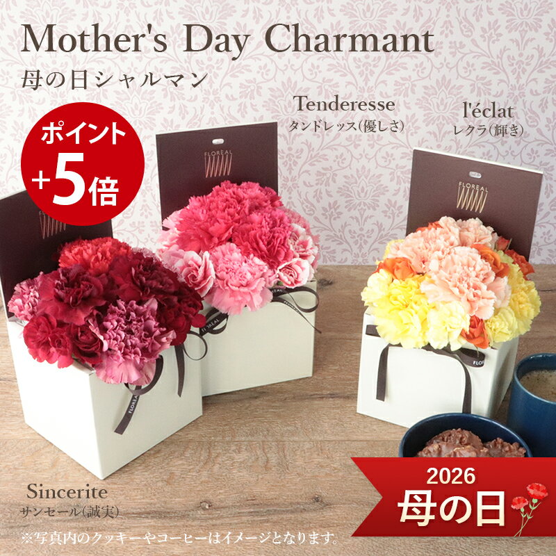 【ポイント5倍】 母の日 送料無料 楽天1位 フロレアル Mother's Day シャルマン 母の日ギフト フラワーボックス 赤 ピンク オレンジイエロー から選択 プレゼント 花 フラワー ギフト カーネーション アレンジメント