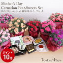 【ポイント10倍】 母の日ギフト☆楽天1位☆カーネーション鉢 スイーツ セット赤 ピンク オレンジ アプリコット パープル ピンク2色 複色パープル母の日 プレゼント 花 フラワー ギフト ポイント 送料無料 鉢植 鉢 5号 選べる花色 実用的 お菓子 和菓子