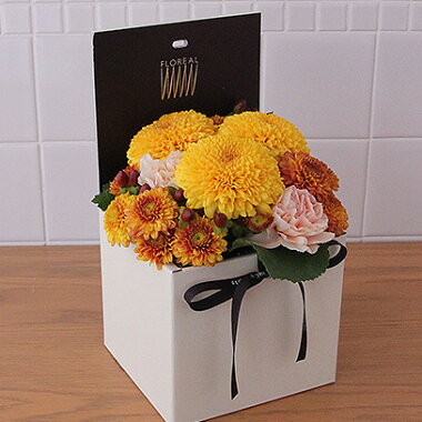 今月の花、シャンパーニュ、ボックスアレンジメント