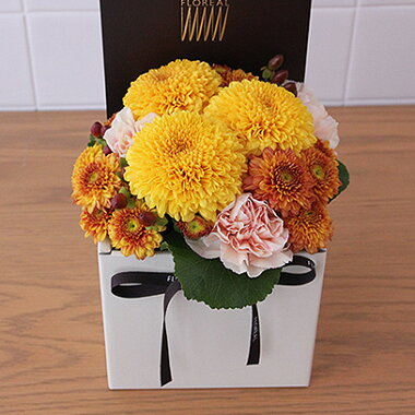 今月の花、シャンパーニュ、ボックスアレンジメント