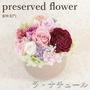 プリザーブドフラワー カーネーション 花 ギフト 誕生日 銀座花門 プリザーブド 〜 プリザ 銀座 〜『ラ・ナチュール』 プレゼント フラワーギフト ブリザード...