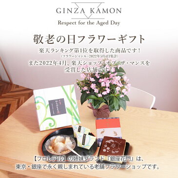 敬老の日 送料無料 楽天1位 におい桜 スイーツ セット におい桜鉢 敬老の日ギフト プレゼント 花 フラワー ギフト 鉢植え 花鉢 鉢 お菓子 和菓子 カステラ 他