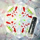 万華鏡 金魚 季節の万華鏡 オイル万華鏡 日本製 season-kingyo 母の日 ホワイトデー ギフト クリスマス 誕生日 お祝い 入学祝 卒業祝い