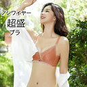 ノンワイヤー 脇高 補正&谷間!補正ブラ ブラジャー ショーツセット ノンワイヤーブラ 美胸 美背 脇高 レース フルレース 総レース 育乳 バストアップ 補正