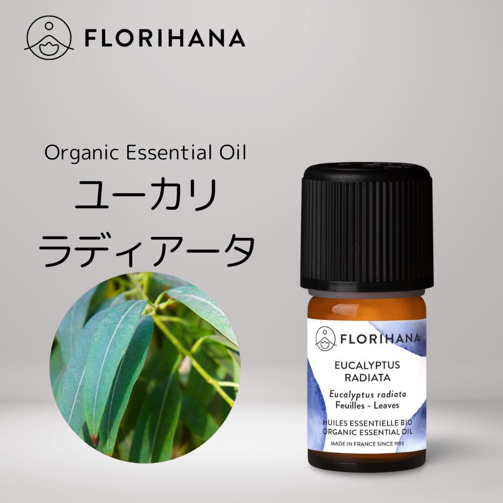 【 フロリハナ 公式 】 ユーカリラデアタ（ラディアータ） オーガニック 精油 5g～15g [ Eucalyptus Radiata ] 【 エ…