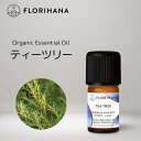 【 フロリハナ 公式 】 ティーツリー オーガニック 精油 5g～15g [ ティートリー ティートゥリー Tea Tree ]【 エコ…