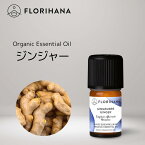 【 フロリハナ 公式 】 ジンジャー オーガニック 精油 5g～15g [ ショウガ 生姜 Ginger ]【 エコサート スパイス系 エッセンシャルオイル アロマオイル アロマ アロマテラピー ルームフレグランス 香水 フランス 有機栽培 無添加 Florihana 】