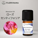 【 フロリハナ 公式 】 ローズセンティフォリア アブソリュート 2g(2.12ml) バラ 薔薇 Rose 【エッセンシャルオイル アロマオイル アロマ アロマテラピー ルームフレグランス 香水 フランス 天然 無添加 Florihana 】