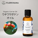 【 フロリハナ 公式 】 オプンティアシード ウチワサボテンオイル 未精製 オーガニック 15ml～50ml 【 天然 無添加 エコサート 有機栽培 植物性 キャリアオイル ベースオイル マッサージ フェイス ボディ スキンケア 年齢肌 乾燥 肌荒れ 保湿 コスメ フランス Florihana 】