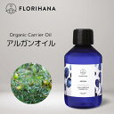 &SH オーガニック認証 ヘーゼルナッツオイル 100ml (50ml×2本)( 未精製 ) キャリアオイル [ 100% ピュア オーガニック USDA 認証 ヘーゼル ナッツ オイル ボタニカル ヴィーガン ヘアオイル 美容オイル マッサージオイル 保湿オイル ] +lt3+