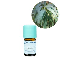 【オーガニック】 ユーカリ ラデアタ 5g(5.5ml) 【精油 エッセンシャルオイル アロマオイル アロマ フロリハナ Florihana】