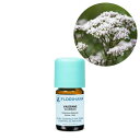 バレリアン 5g(5.3ml) 【精油 エッセンシャルオイル...