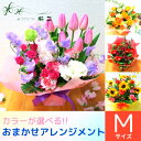 アレンジメント「カラー指定おまかせアレンジメントM」 誕生日 生花 プレゼント ギフト お祝い 即日発送 記念日 お誕生日