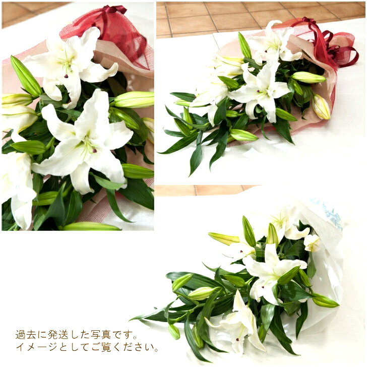 花束 「カサブランカの花束S」 誕生日 生花 ギフト プレゼント 白ユリ お祝い お供...