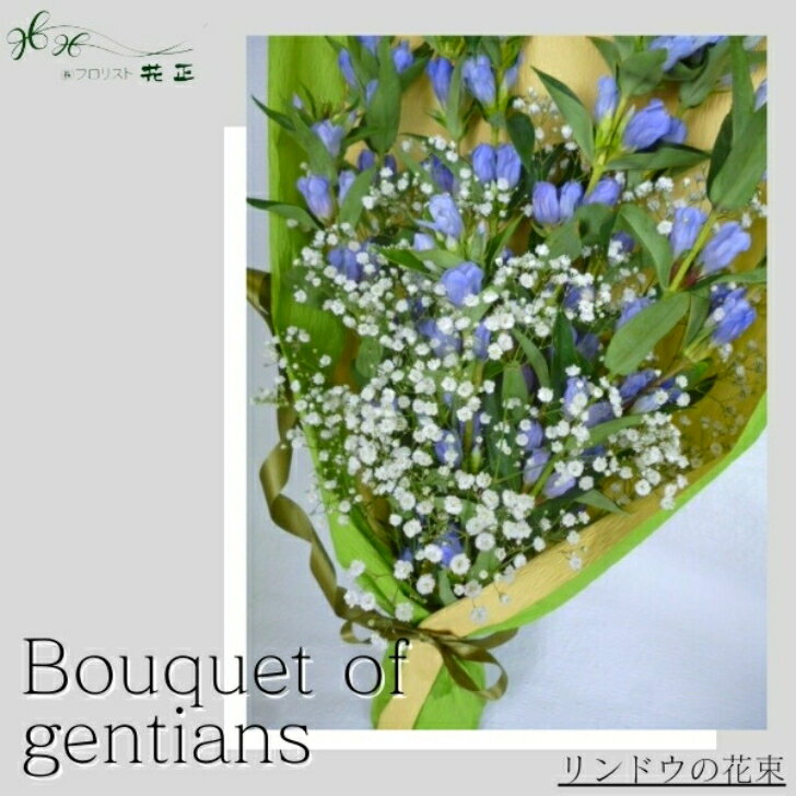 Gerbera - 「リンドウの花束(1対)」お盆 期間限定 御供 お供え用 生花