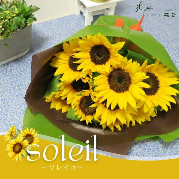 乐天商城 - ブーケ「soleil〜ソレイユ〜」夏　ヒマワリ　向日葵ひまわり　季節限定花束　誕生日 生花 ギフト プレゼント お祝い プロポーズ　贈り物　記念日